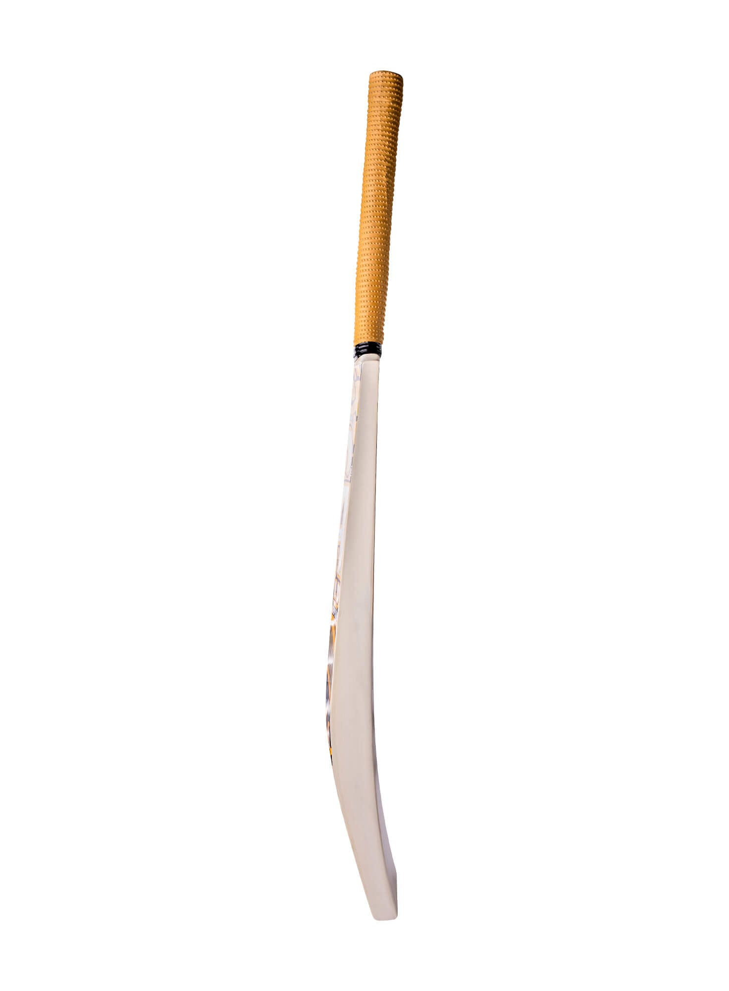 CA Gold Dragon